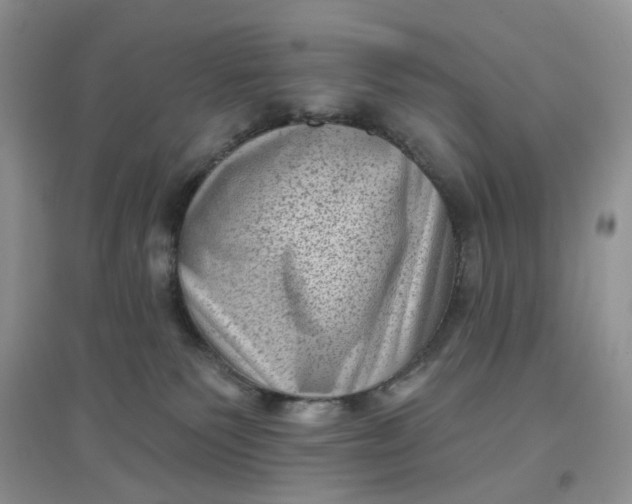 X0000097630135200803142032