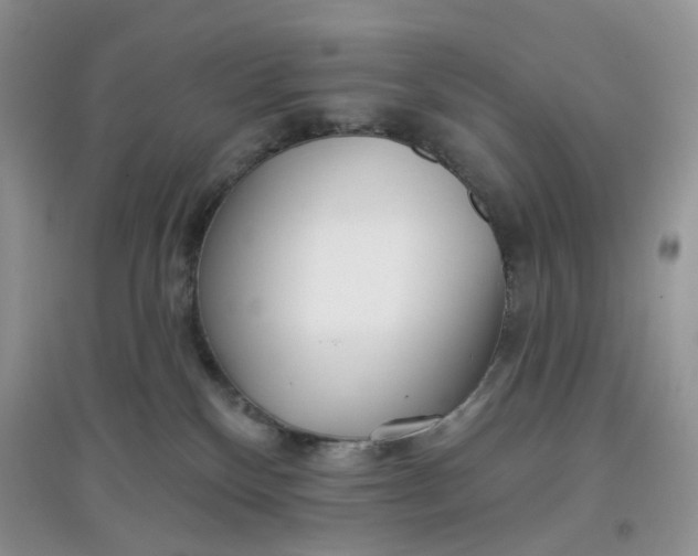 X0000097630136200803142032