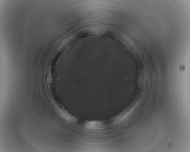 X0000097630137200803142032