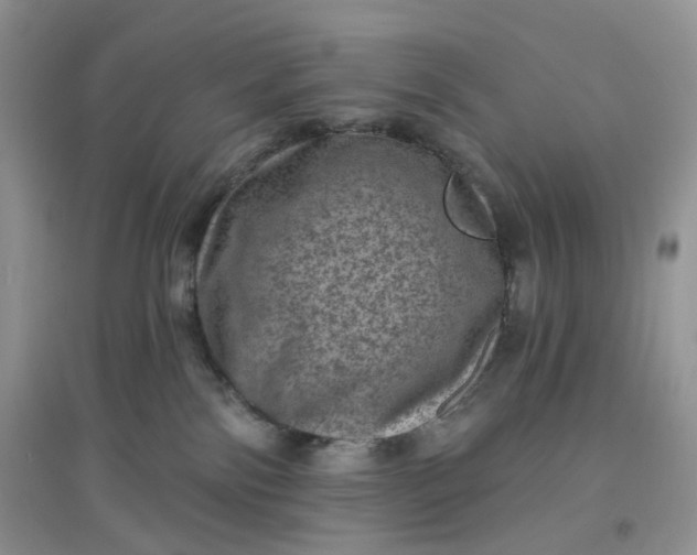 X0000097630138200803142032