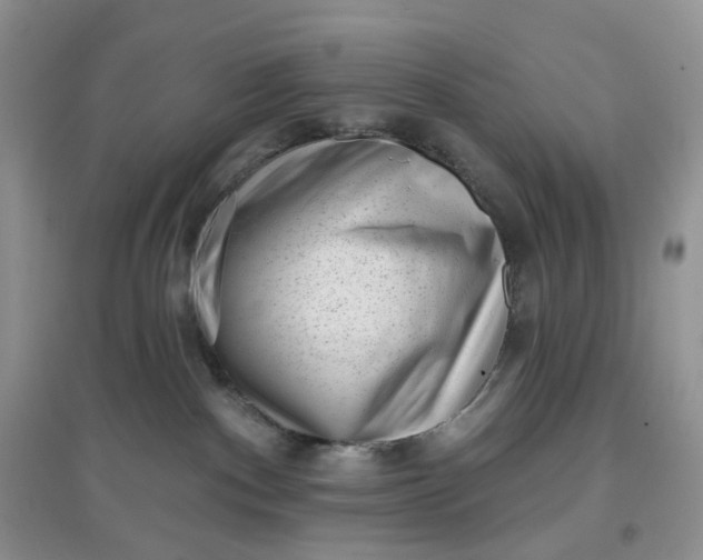 X0000097630140200803142032