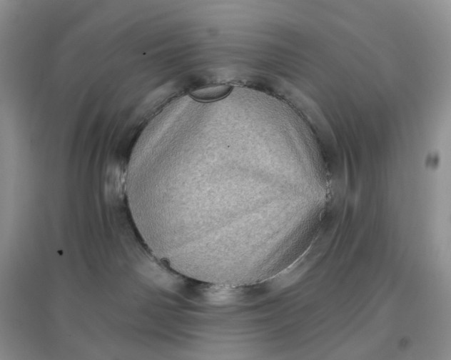 X0000097630142200803142032