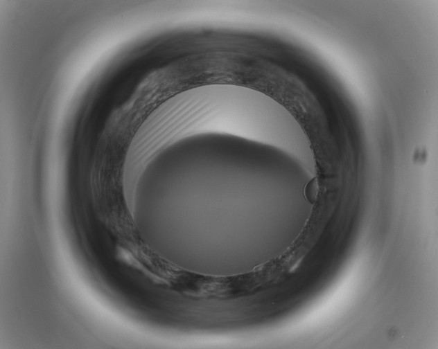 X0000097630143200803142032