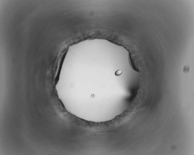 X0000097630144200803142032