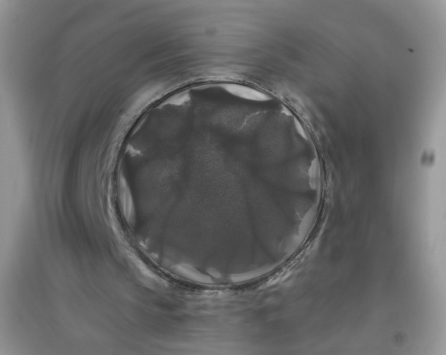 X0000097630145200803142032