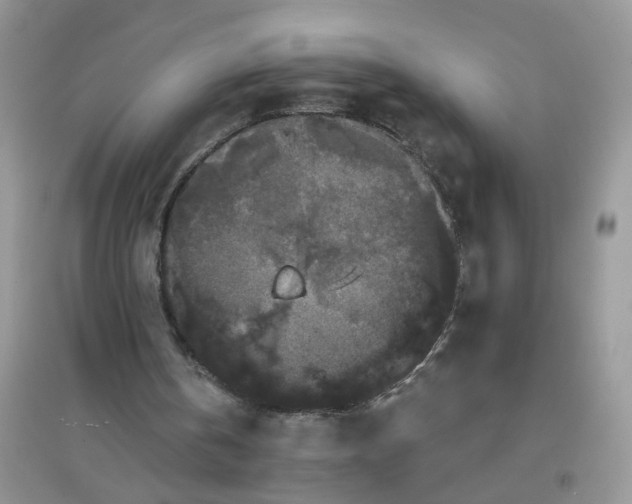 X0000097630146200803142032