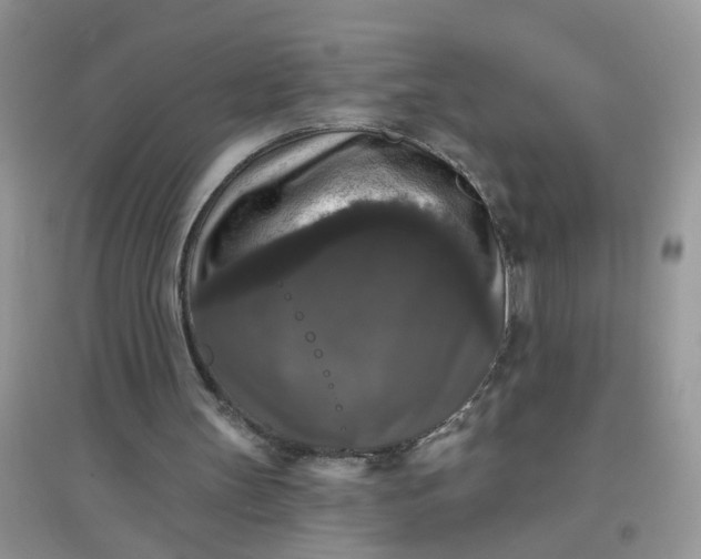 X0000097630147200803142032