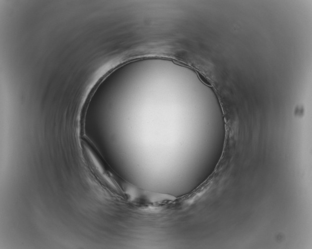 X0000097630148200803142032