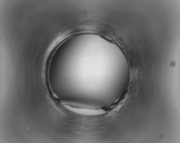 X0000097630150200803142032