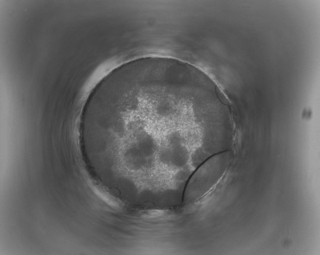 X0000097630151200803142032