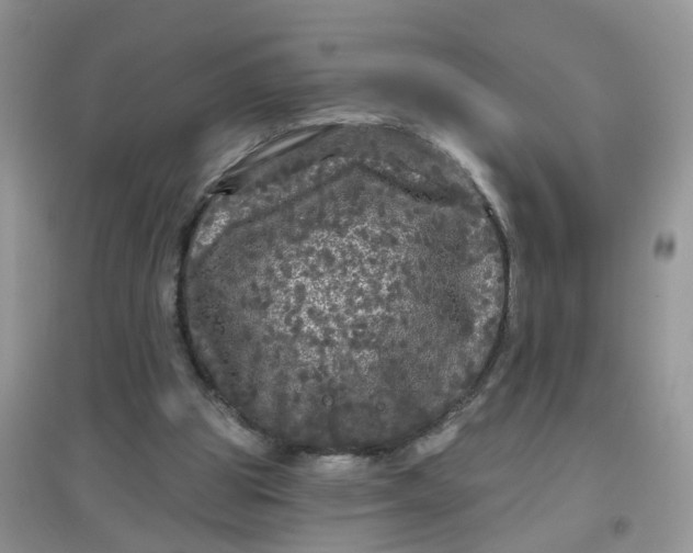 X0000097630153200803142032