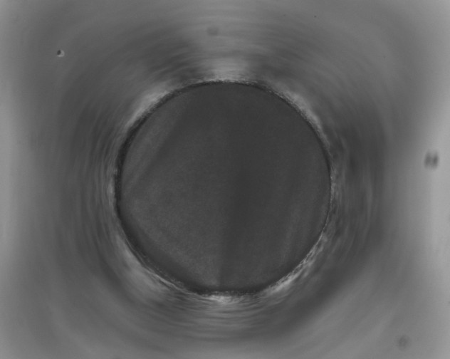 X0000097630154200803142032