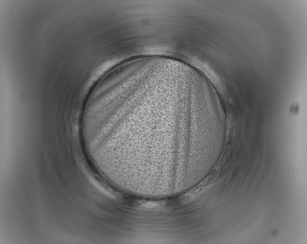 X0000097630155200803142032