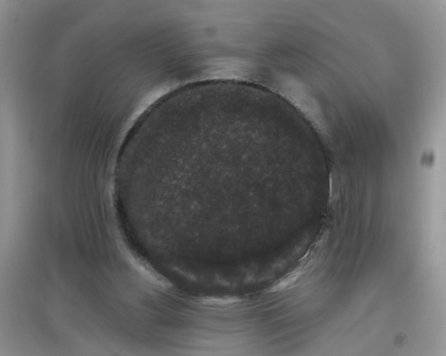 X0000097630156200803142032