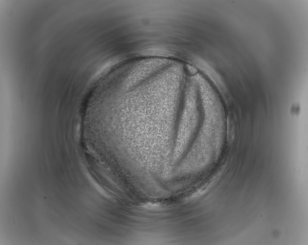 X0000097630157200803142032