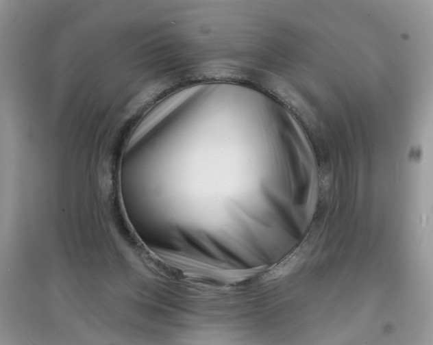 X0000097630158200803142032