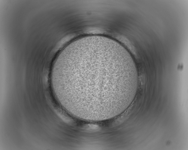 X0000097630159200803142032