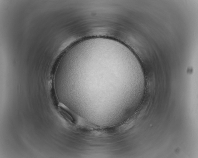 X0000097630160200803142032