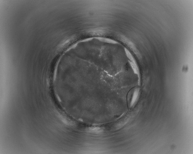 X0000097630161200803142032