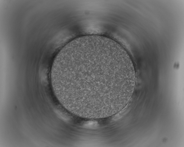 X0000097630162200803142032