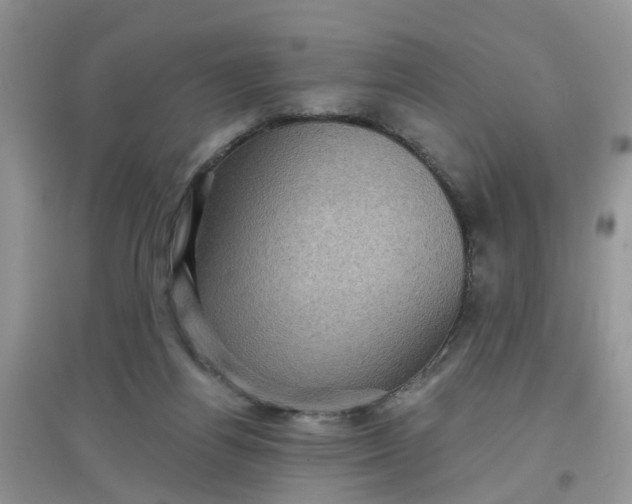 X0000097630164200803142032