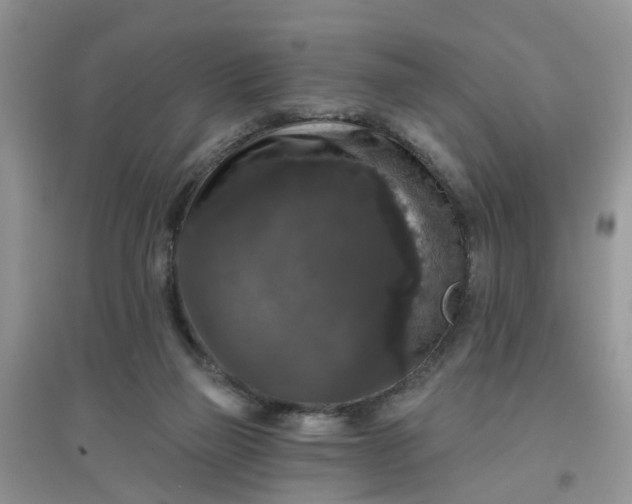 X0000097630165200803142032