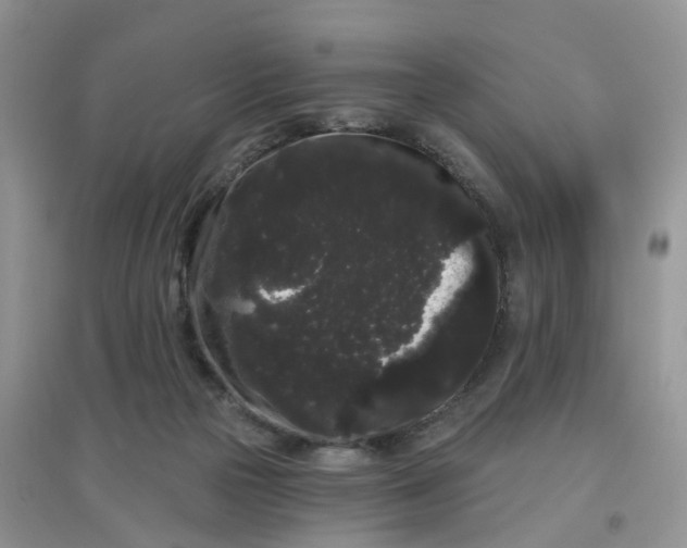 X0000097630169200803142032