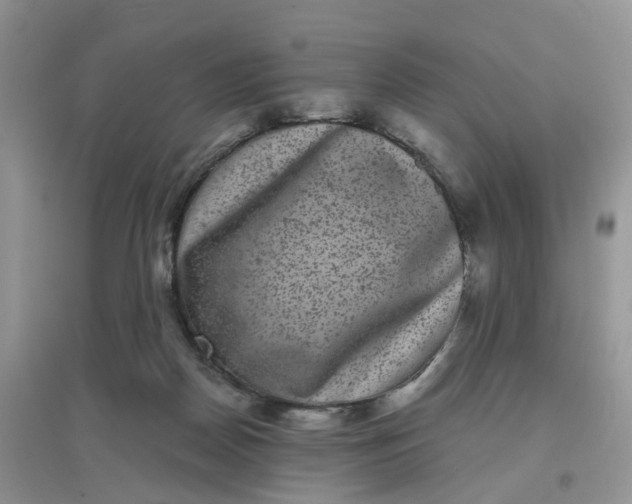 X0000097630170200803142032