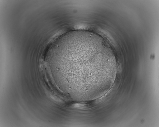 X0000097630171200803142032