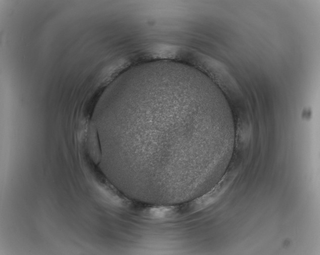 X0000097630172200803142032