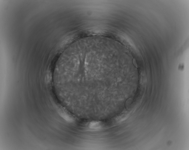 X0000097630173200803142032