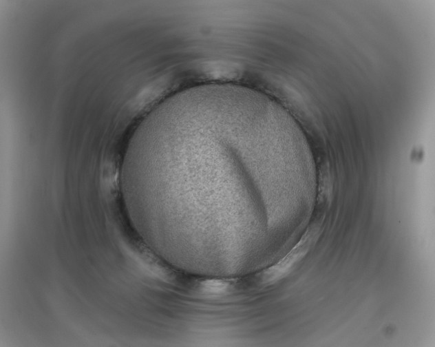 X0000097630176200803142032