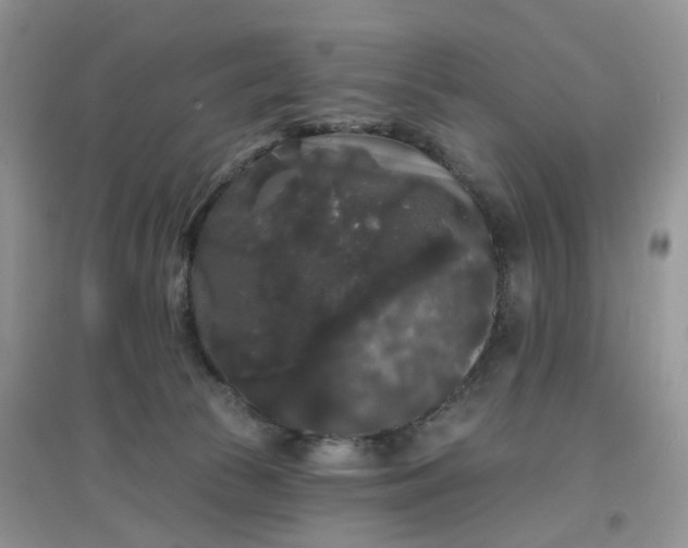 X0000097630177200803142032