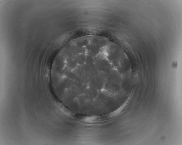 X0000097630178200803142032