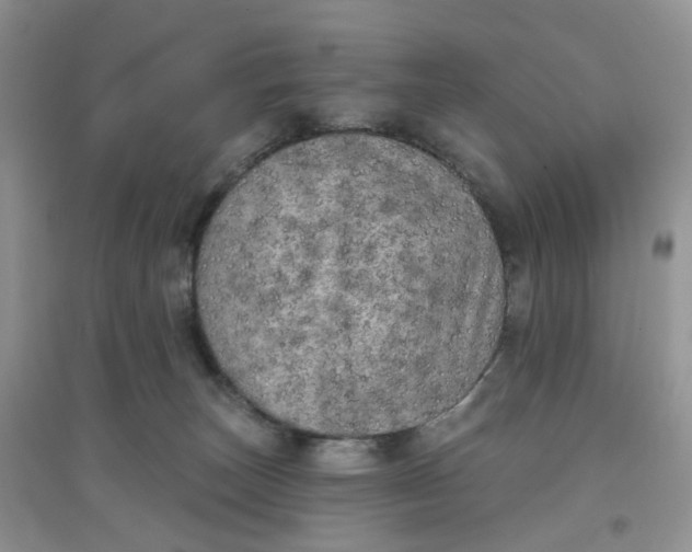 X0000097630179200803142032