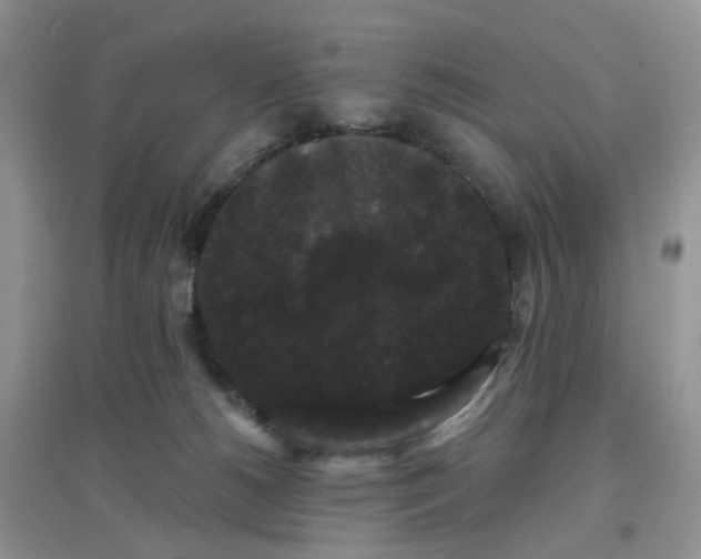 X0000097630180200803142032