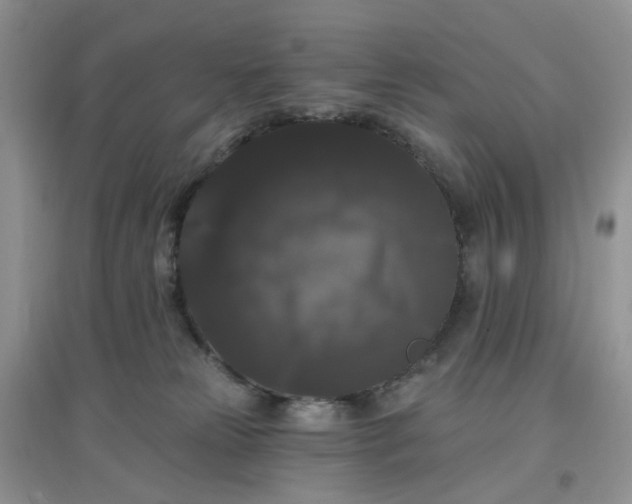 X0000097630181200803142032