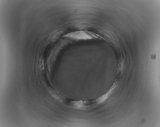 X0000097630182200803142032