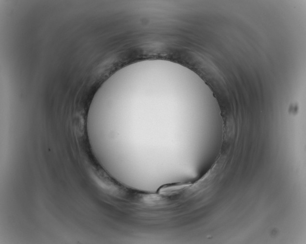 X0000097630183200803142032