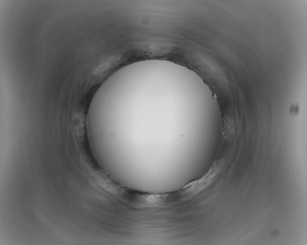 X0000097630184200803142032