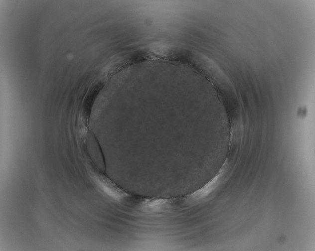 X0000097630186200803142032