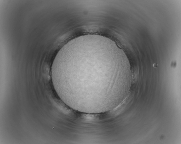 X0000097630187200803142032