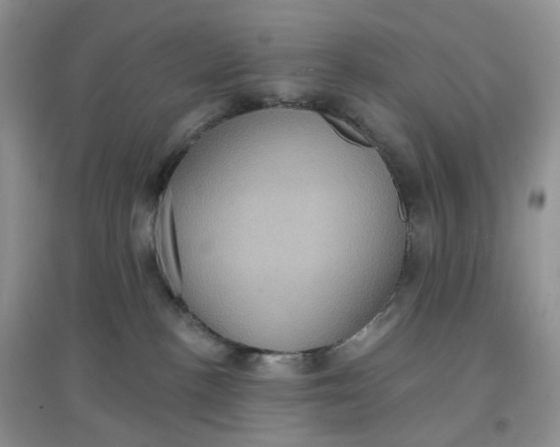 X0000097630188200803142032