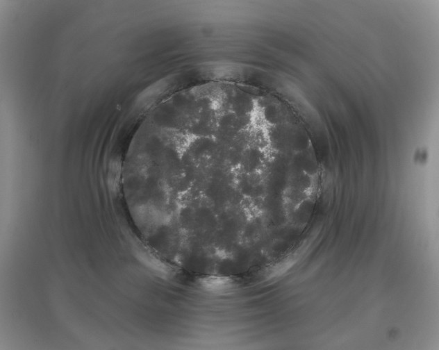 X0000097630189200803142032