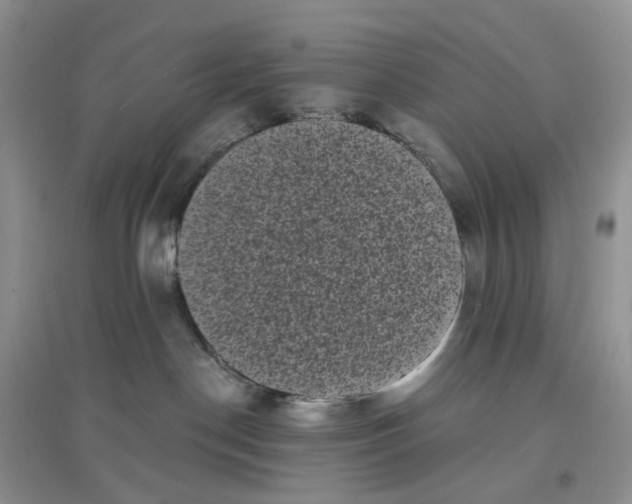 X0000097630190200803142032