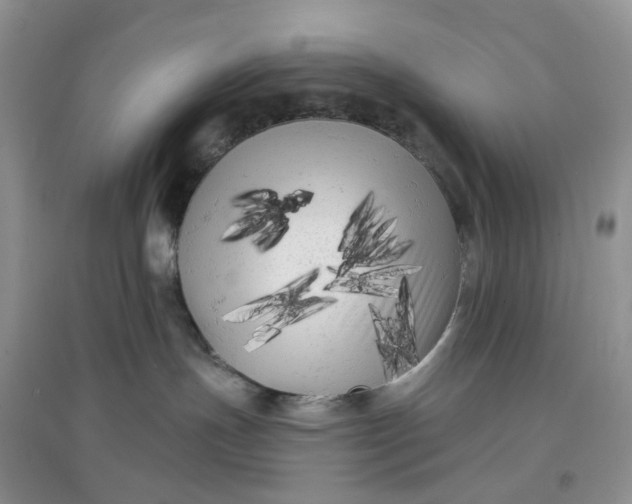 X0000097630191200803142032