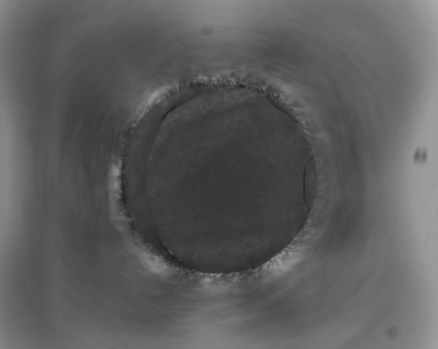 X0000097630192200803142032