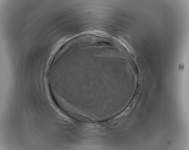 X0000097630193200803142032