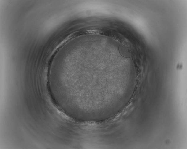 X0000097630194200803142032