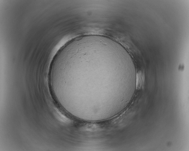 X0000097630195200803142032